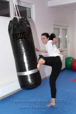 taekwondo kwon training